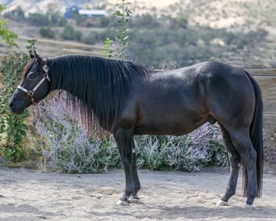 QH_News-8742.jpg