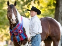 Rolex N Starlight - Bay Tobiano