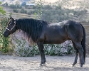 QH_News-8742.jpg